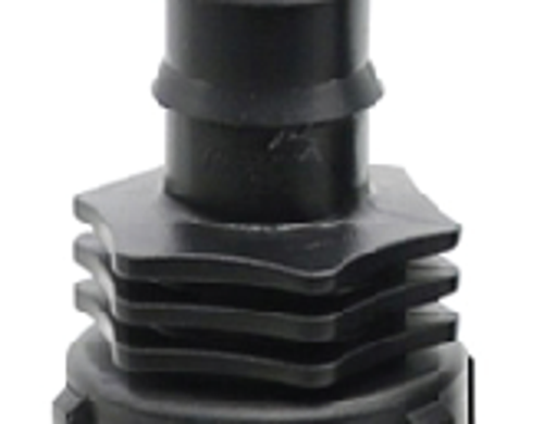 តំណសុងធ្មេញក្នុង