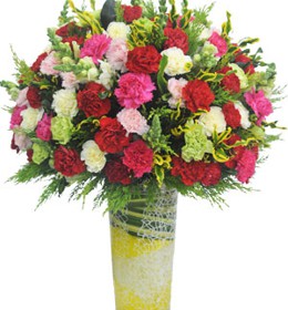 HOA CẨM CHƯỚNG - THÔNG REO