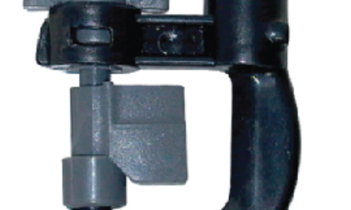  ក្បាលសាចទឹកតូច