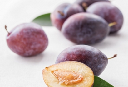 ផ្លុំស្ករអូស្ត្រាលី