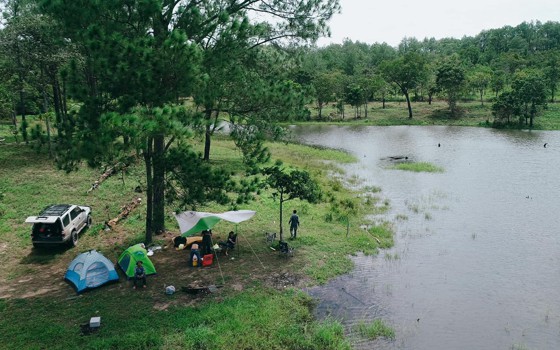 ចំការតែ គីរីរម្យ ខេត្តកំពង់ស្ពឺ