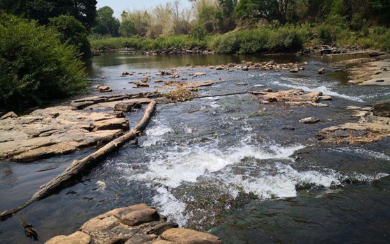 រមណីយដ្ឋានតាព្រហ្ម ខេត្តក្រចេះ