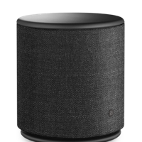 B&O PLAY by Bang & Olufsen Beoplay M5 Wireless Speaker (GREY)