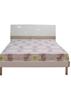 Giường ngủ người lớn số 1