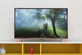 Smart Tivi Zing TCL 40 inch L40Z1