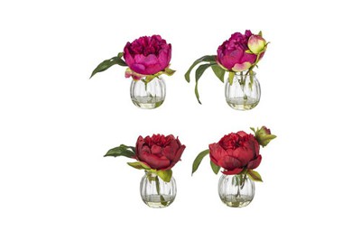 Chậu hoa Peony in glass