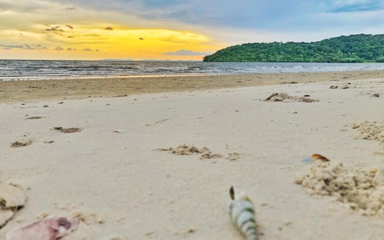 ឆ្នេរប៉ាក់ខ្លង 