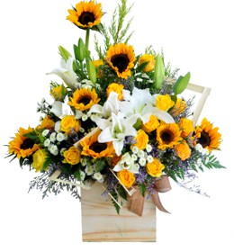 HOA HỒNG - NHẶT NẮNG