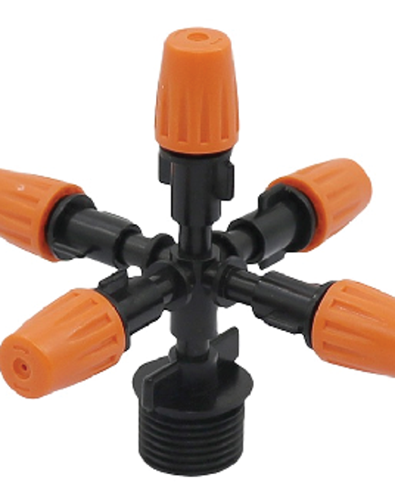 ក្បាលសាចទឹកតូច