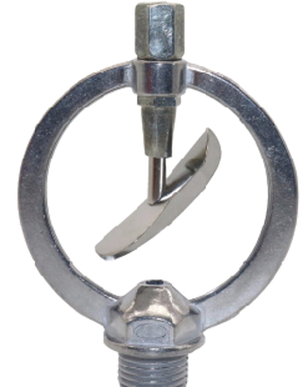 ក្បាលសាចទឹកតូច