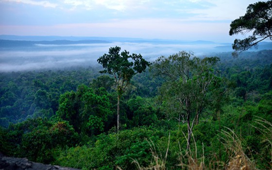 ភ្នំម្រេចកង្កែប