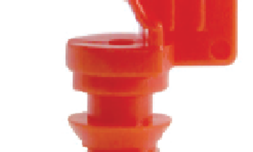 ក្បាលសាចទឹកតូច