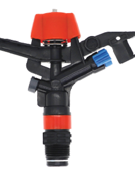 ក្បាលសាចស្រ្ពីងគ្ល័រ