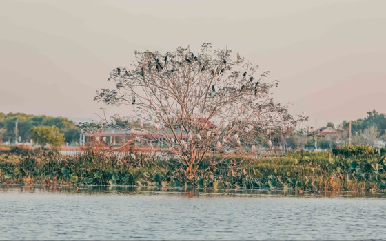 អាងទឹកបឹងស្នោ ខេត្តឧត្តរមានជ័យ 