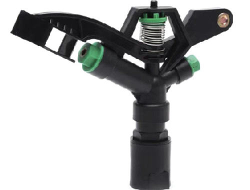 ក្បាលសាចស្រ្ពីងគ្ល័រ