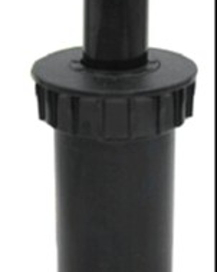 ក្បាលសាចស្រ្ពីងគ្ល័រ