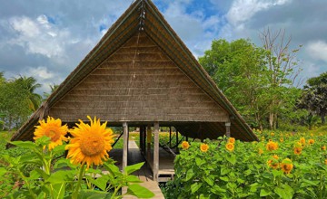 ស្ពានយោលចំការដូងម្លិច ខេត្តកំពត