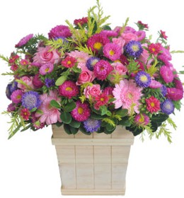 HOA ĐỒNG TIỀN - NGÀN LỜI YÊU THƯƠNG