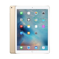 iPad Pro 12.9 inch Wi-Fi 4G 128GB