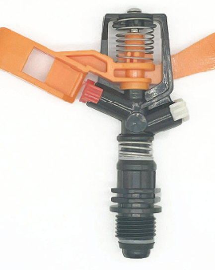 ក្បាលសាចស្រ្ពីងគ្ល័រ