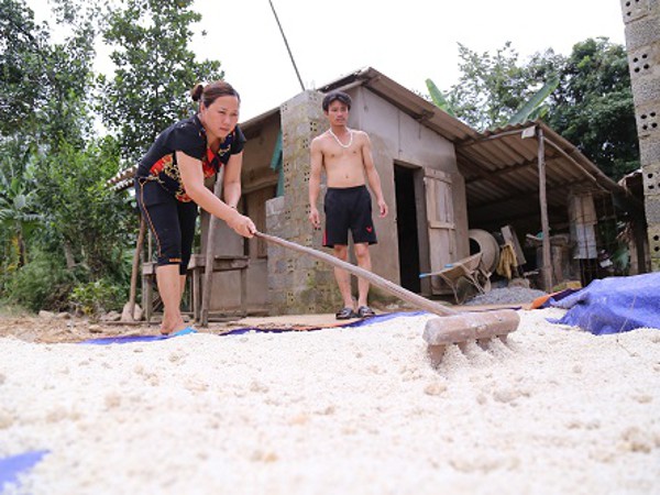 Nhiều tỉnh khó khăn nhưng không xin gạo cứu đói