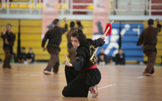 Khai mạc Giải vô địch thế giới võ cổ truyền Việt Nam