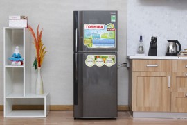 Tủ lạnh Toshiba 505 lít GR- S21VPB (DS)