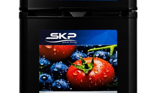 ទូទឹកកក SKP T6120TDG