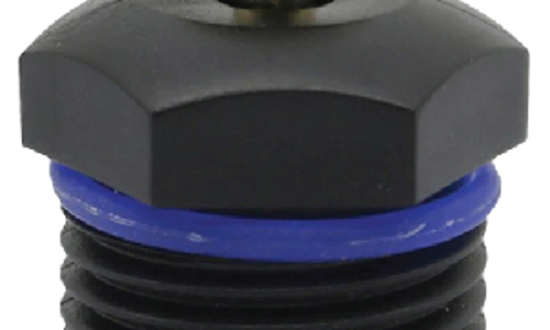 ក្បាលសាចទឹកតូច