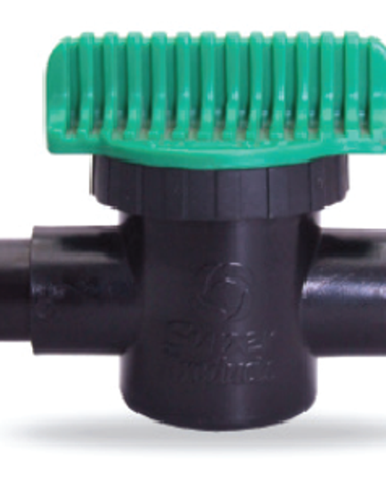  វ៉ានចុងទុយោ