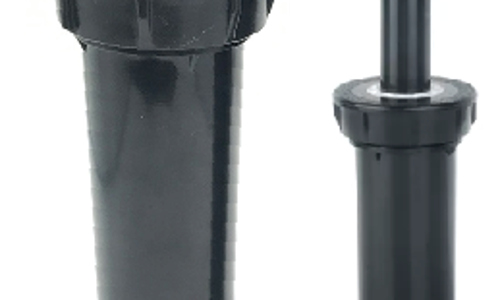 ក្បាលសាចស្រ្ពីងគ្ល័រ