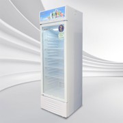 ទូក្លាស្សេ ទ្វារកញ្ចក់ LC-338