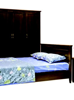 Tủ áo B4 màu Wanut