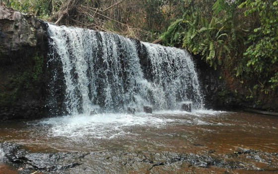 Lucky Tours, Virachey National Park &Wildlife Trek ខេត្តរតនគិរី