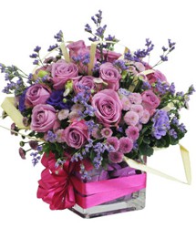 HOA HỒNG - SAO KHUYA