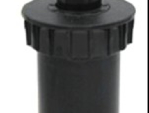 ក្បាលសាចស្រ្ពីងគ្ល័រ