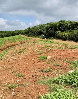 Đất Lộc Ngãi - Bảo Lâm