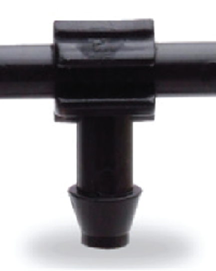 តំណទុយោចង្កឹះ តេ