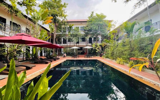 Angkor Tiger រីសត​ ខេត្តសៀមរាប