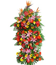 HOA ĐỒNG TIỀN - MÃ ĐÁO THÀNH CÔNG 1