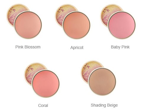 BOTANICAL SHINE BLOSSOM BLUSHER