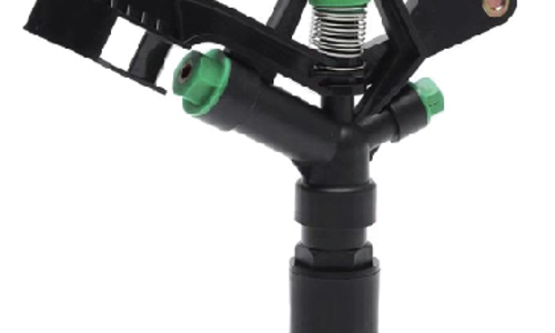 ក្បាលសាចស្រ្ពីងគ្ល័រ