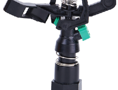 ក្បាលសាចស្រ្ពីងគ្ល័រ