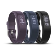 Garmin Vivosmart 3