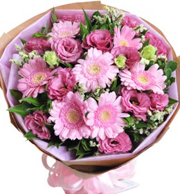 HOA HỒNG - NGÀY MỚI 2