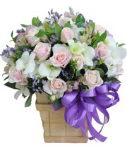 HOA LAN - NGÀY DỊU DÀNG