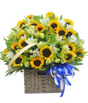 ផ្កាលីលី - ព្រះអាទិត្យរដូវក្តៅ