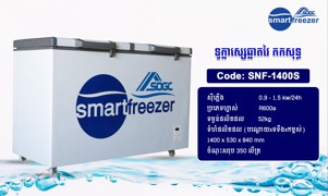 ទូក្លាស្សេឆ្លាតវៃ កកសុទ្ធ - SMARTFREEZER