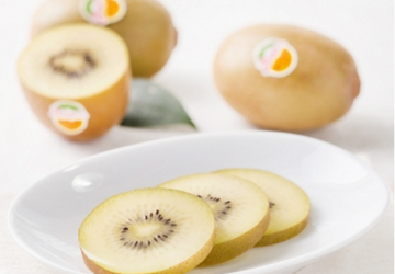 Kiwi vàng New Zealand