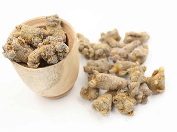 TAM THẤT – LOẠI THUỐC QUÝ CỦA VIỆT NAM